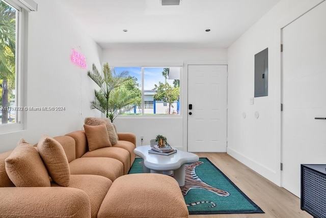 living room with electric panel, light hardwood / wood-style flooring, and a healthy amount of sunlight