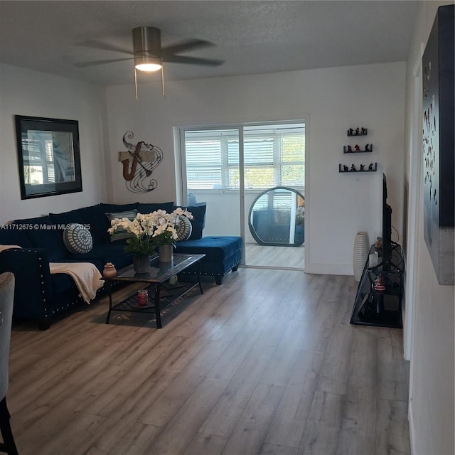 living room featuring wood finished floors, ceiling fan, and a textured ceiling