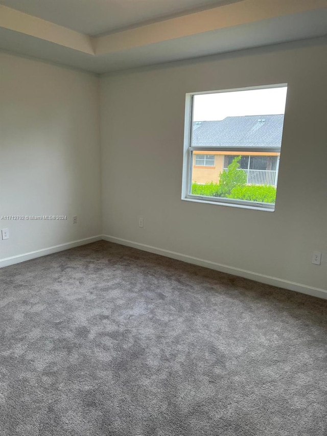 spare room with carpet floors