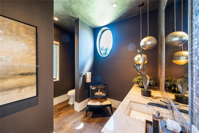 bathroom with toilet, hardwood / wood-style flooring, and vanity