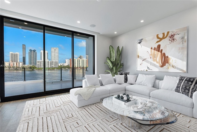 bedroom with hardwood / wood-style floors, access to exterior, and a tray ceiling