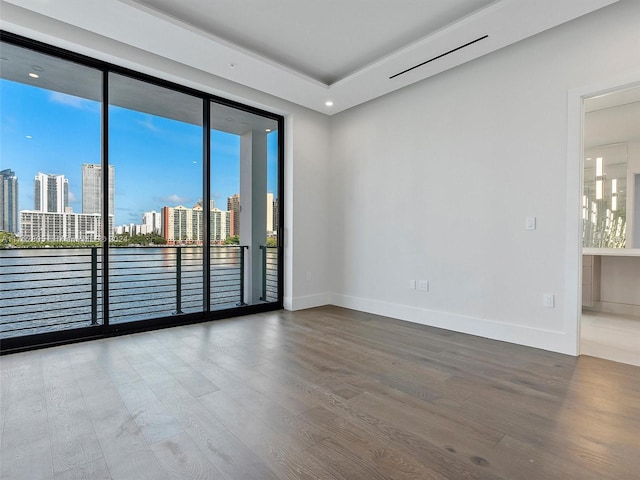 empty room featuring wood-type flooring