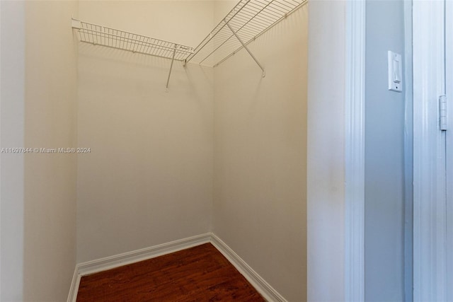 spacious closet with wood-type flooring