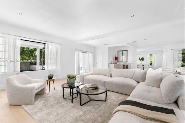 living room featuring a wealth of natural light and light wood-type flooring