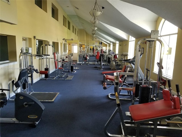 exercise room featuring lofted ceiling