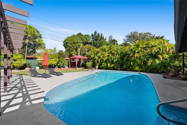 view of swimming pool with a patio area