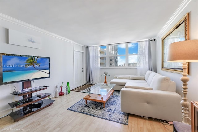 living room featuring hardwood / wood-style floors and crown molding