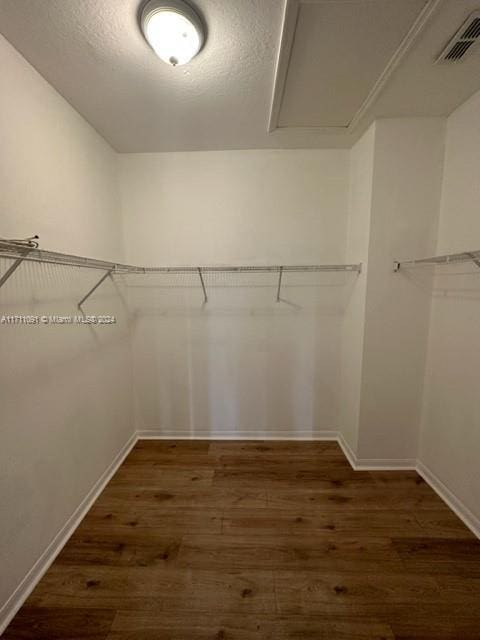 walk in closet featuring dark hardwood / wood-style flooring