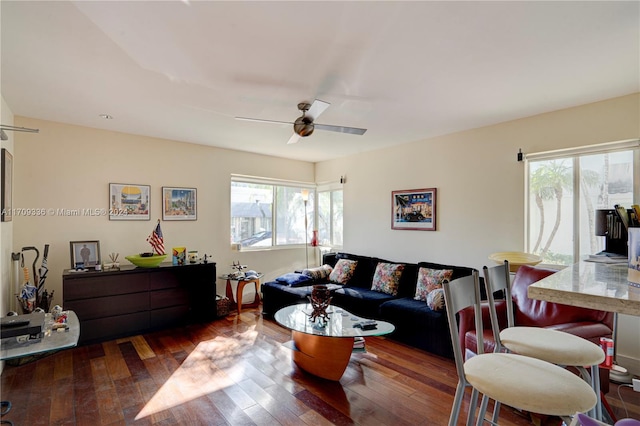 living room with ceiling fan and wood-type flooring