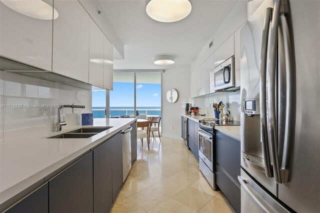 kitchen featuring stainless steel appliances, a sink, modern cabinets, decorative backsplash, and floor to ceiling windows