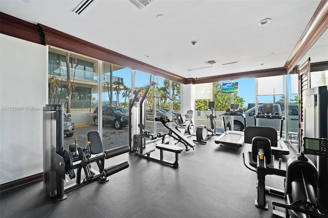 exercise room featuring a wealth of natural light