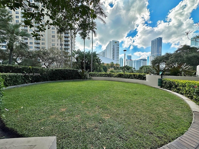 view of property's community with a yard