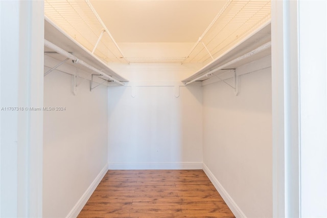 walk in closet with hardwood / wood-style floors