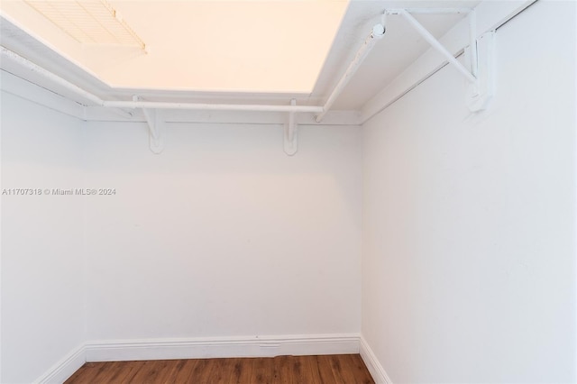 spacious closet featuring dark hardwood / wood-style floors