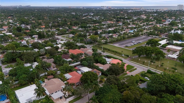 bird's eye view