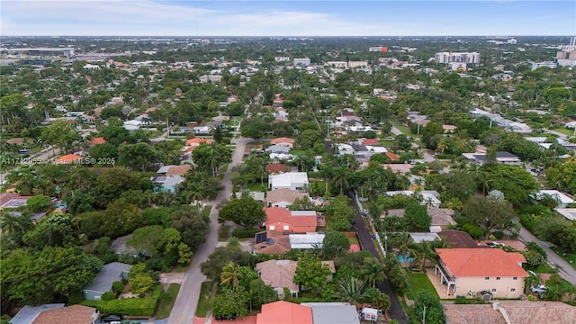 bird's eye view