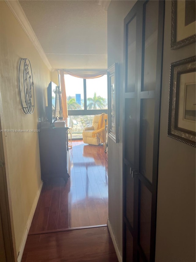 corridor with crown molding and dark hardwood / wood-style floors