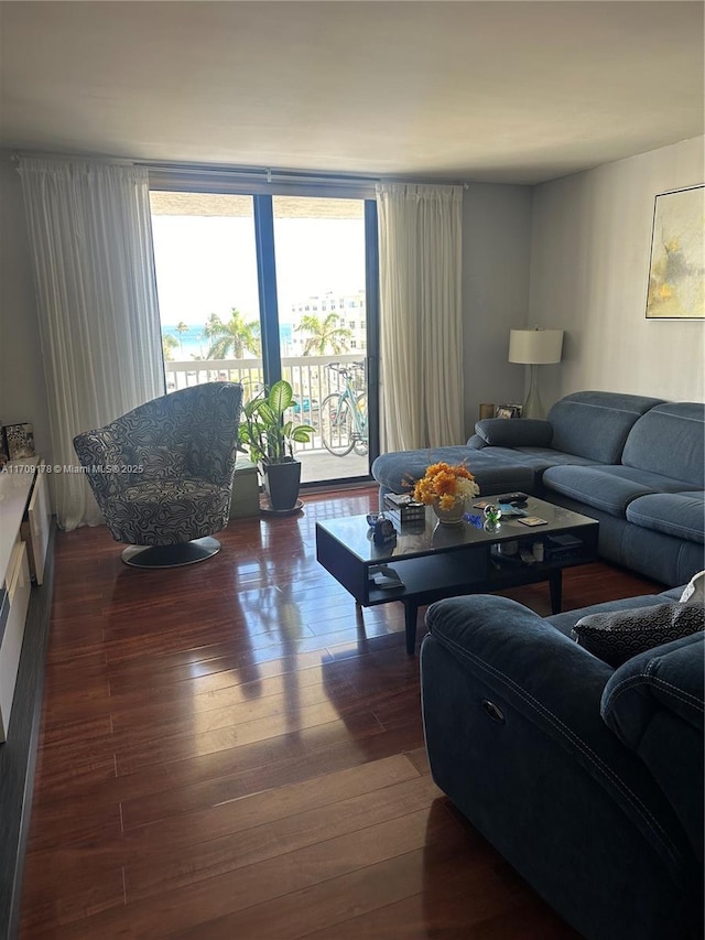 living room featuring dark hardwood / wood-style flooring