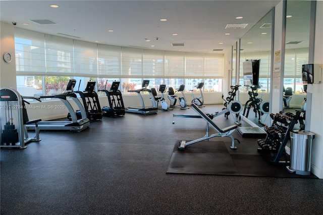 exercise room featuring plenty of natural light