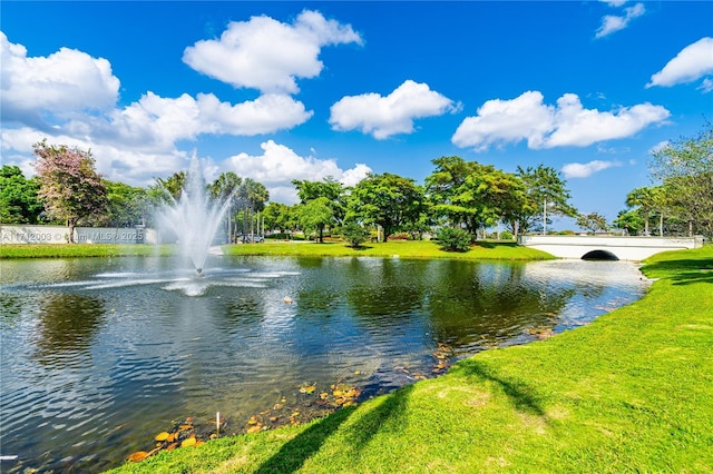 property view of water