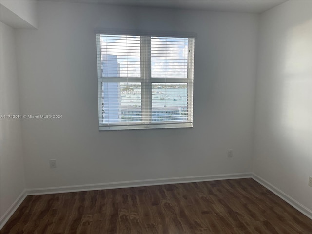 unfurnished room with dark wood-type flooring