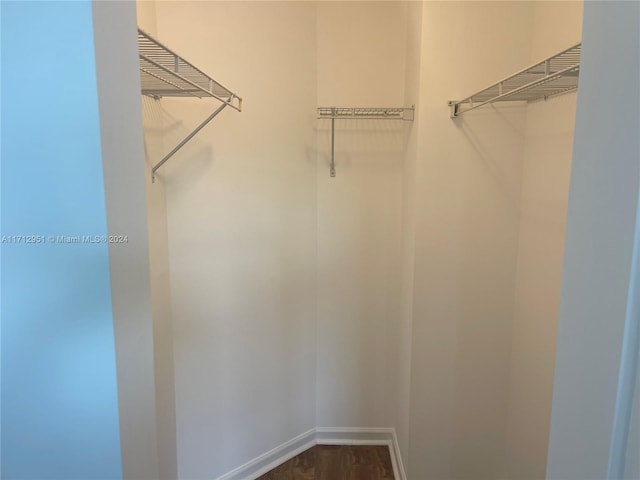 spacious closet featuring wood-type flooring