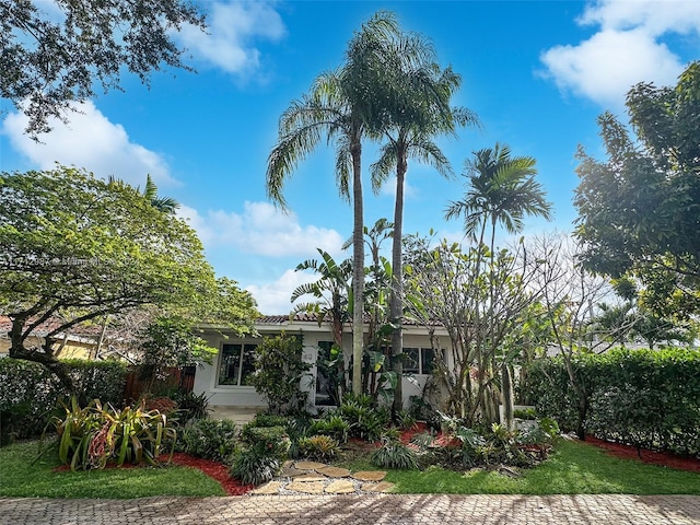 view of front of house with a front yard