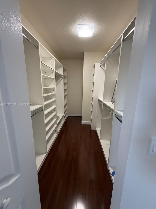 walk in closet featuring dark hardwood / wood-style floors