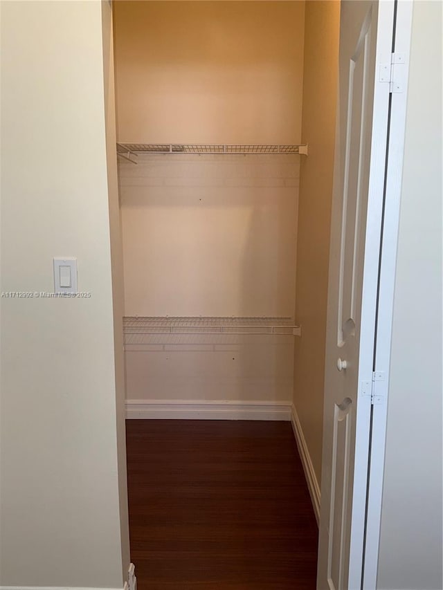 view of closet