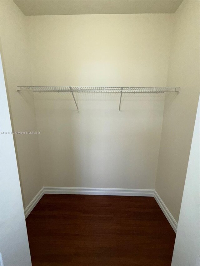 spacious closet featuring dark wood-type flooring