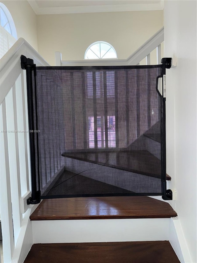 staircase with a healthy amount of sunlight