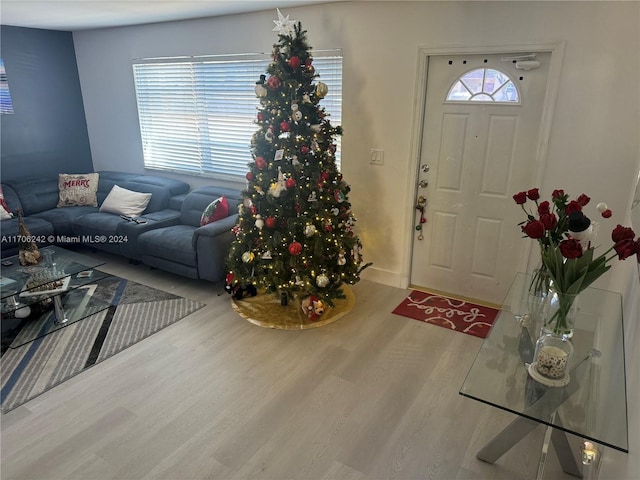 foyer with hardwood / wood-style floors