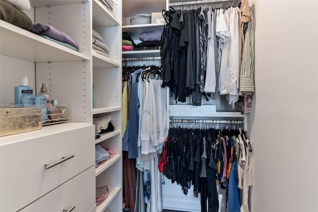 view of spacious closet