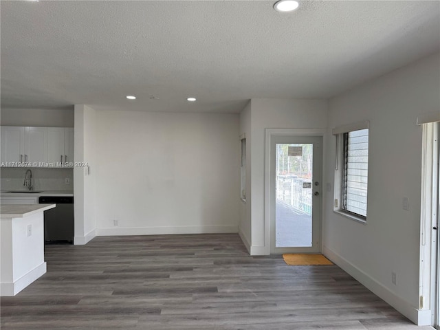 interior space with a textured ceiling, wood-type flooring, and sink