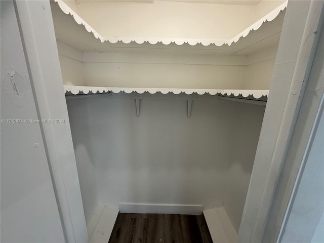 walk in closet featuring dark hardwood / wood-style flooring