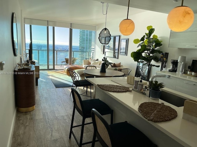 dining space featuring light hardwood / wood-style flooring and floor to ceiling windows