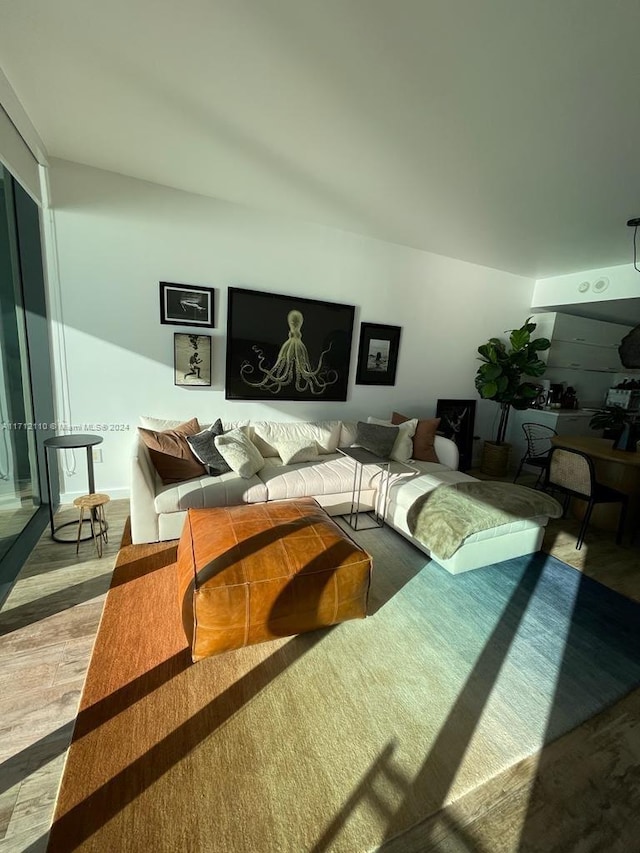 living room featuring light hardwood / wood-style flooring