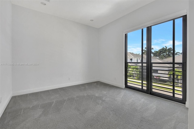 unfurnished room featuring plenty of natural light and carpet floors