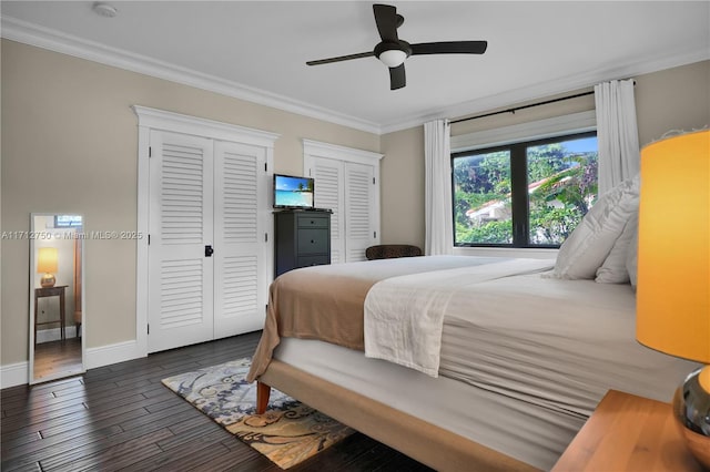 bedroom featuring crown molding, dark wood-type flooring, two closets, and ceiling fan