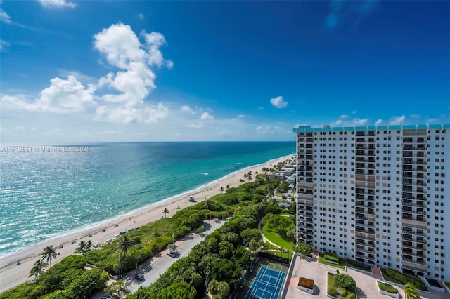 water view featuring a beach view