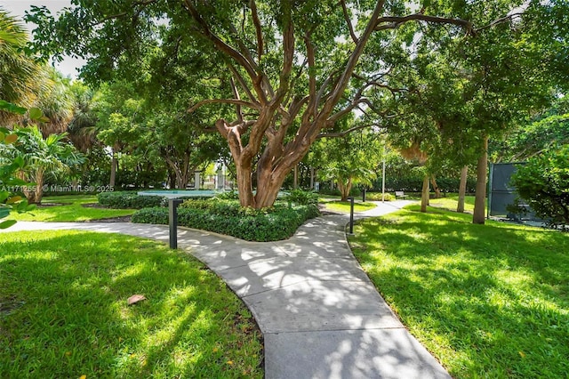 surrounding community featuring a lawn