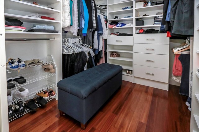 spacious closet with dark hardwood / wood-style flooring