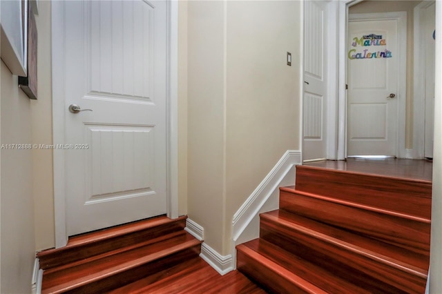 staircase with hardwood / wood-style flooring