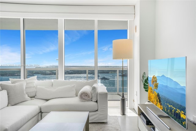 living room featuring plenty of natural light