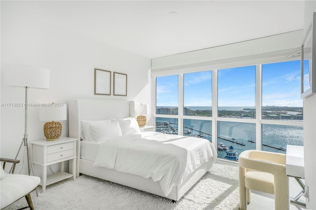 carpeted bedroom featuring a water view