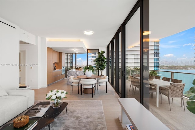 living area featuring expansive windows