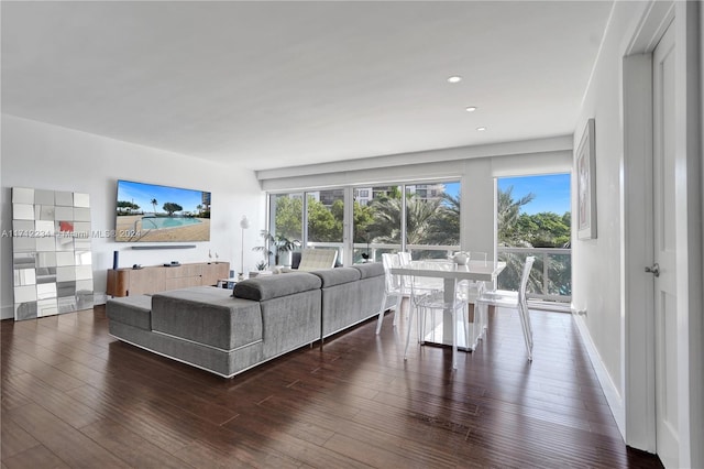 living room featuring dark wood-type flooring