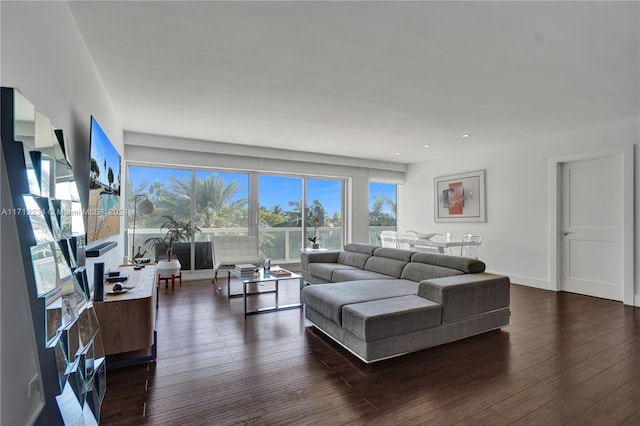 living room with dark hardwood / wood-style flooring