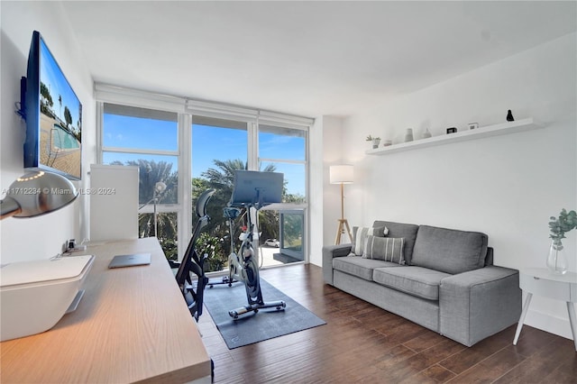 office area with plenty of natural light, dark hardwood / wood-style floors, and a wall of windows