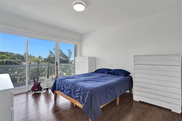 bedroom with dark hardwood / wood-style flooring and multiple windows